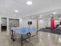 Acoustically Treated Home Gym